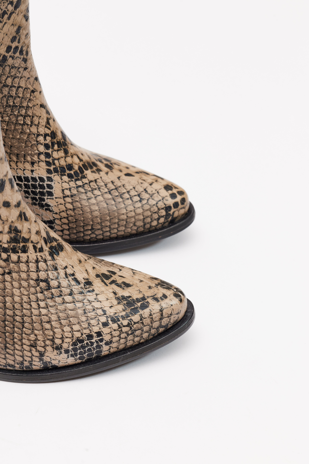 LAFAR PRINT REPTIL - Image 6